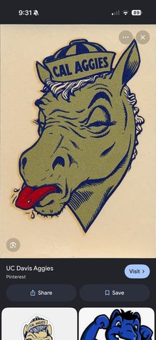 6u50y7tkogk9g99b.png